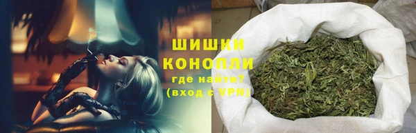 хмурый Горняк