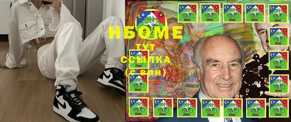 индика Зуевка