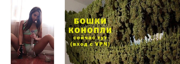 прущая мука Тайга