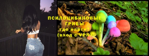 дживик Горно-Алтайск