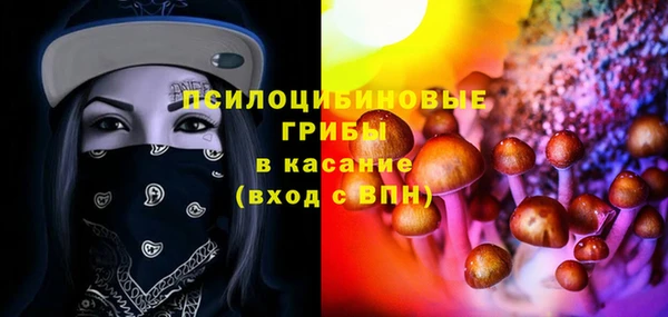 дурь Горнозаводск