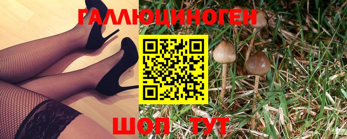 Медногорск  Псилоцибиновые грибы GOLDEN TEACHER  Вход с VPN  Галлюциногенные грибы Psilocybe 